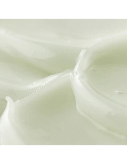 Beauty of Joseon Light On Serum: Centella + Vita C - Unique Bunny