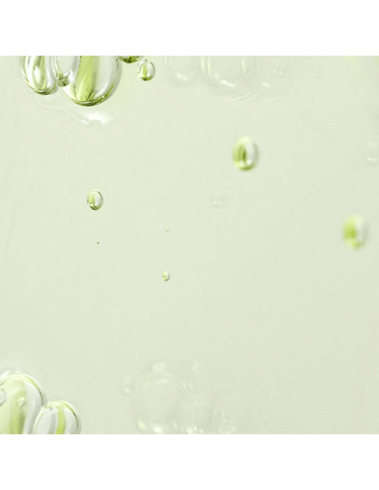 Beauty of Joseon Calming Serum: Green Tea & Panthenol - Unique Bunny
