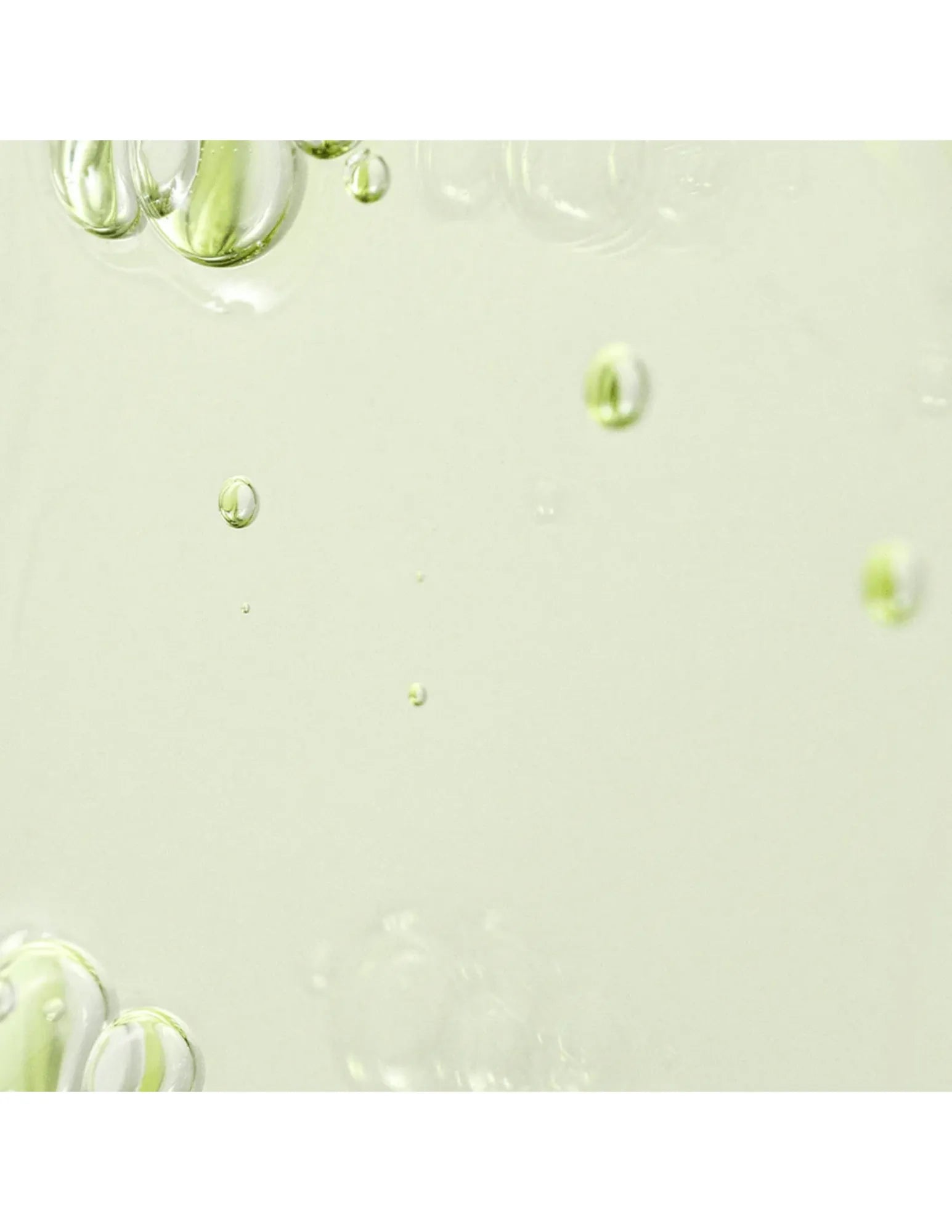 Beauty of Joseon Calming Serum: Green Tea & Panthenol - Unique Bunny