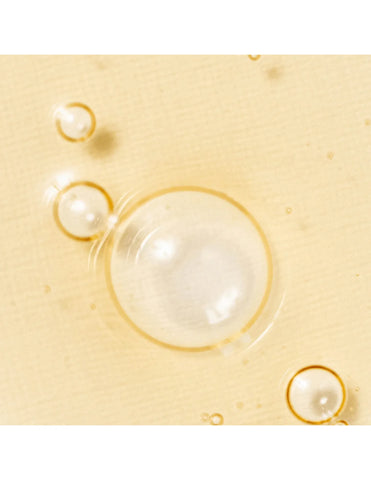 Beauty of Joseon Revive Serum: Ginseng & Snail Mucin - Unique Bunny