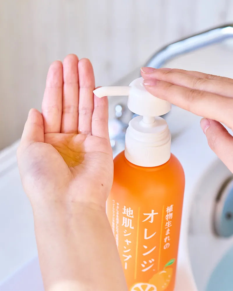 Ishizawa Lab Orange Scalp Shampoo - Unique Bunny