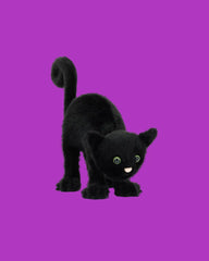 Jellycat Spookipaws Cat - Unique Bunny