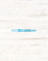 Pilot Hi Tec-C Coleto Pen Refill Case - Unique Bunny