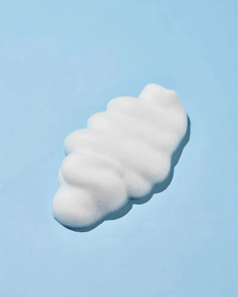 Round Lab 1025 Dokdo Bubble Foam - Unique Bunny