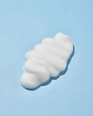 Round Lab 1025 Dokdo Bubble Foam - Unique Bunny