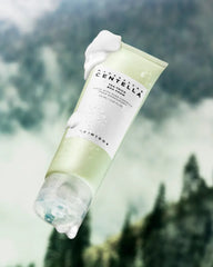 SKIN1004 Tea-Trica BHA Foam - Unique Bunny