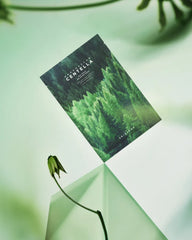 SKIN1004 Tea-Trica Relaxing Mask - Unique Bunny