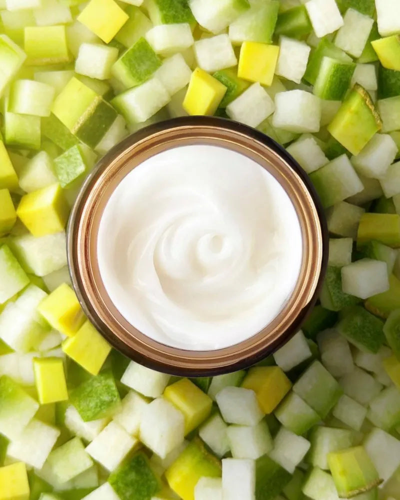 The Cocoon Winter Melon Gel Cream - Unique Bunny