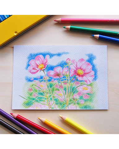 Tombow Colour Pencil Pack