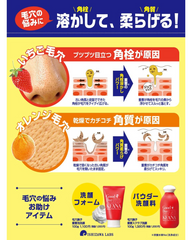 Ishizawa Lab Keana Nadeshiko Baking Soda Scrub Wash - Unique Bunny