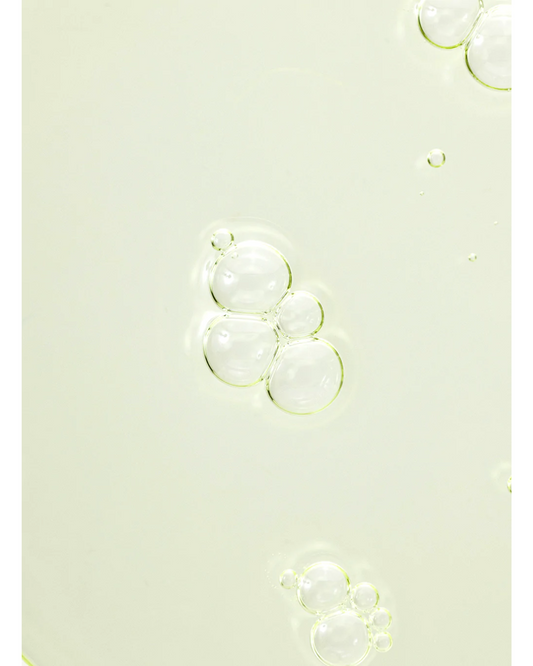 Beauty of Joseon Calming Serum: Green Tea & Panthenol - Unique Bunny